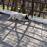 IMG-6094