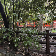 IMG-2777