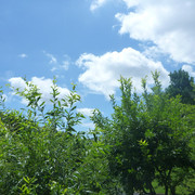P1330814