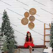 IMG-4581