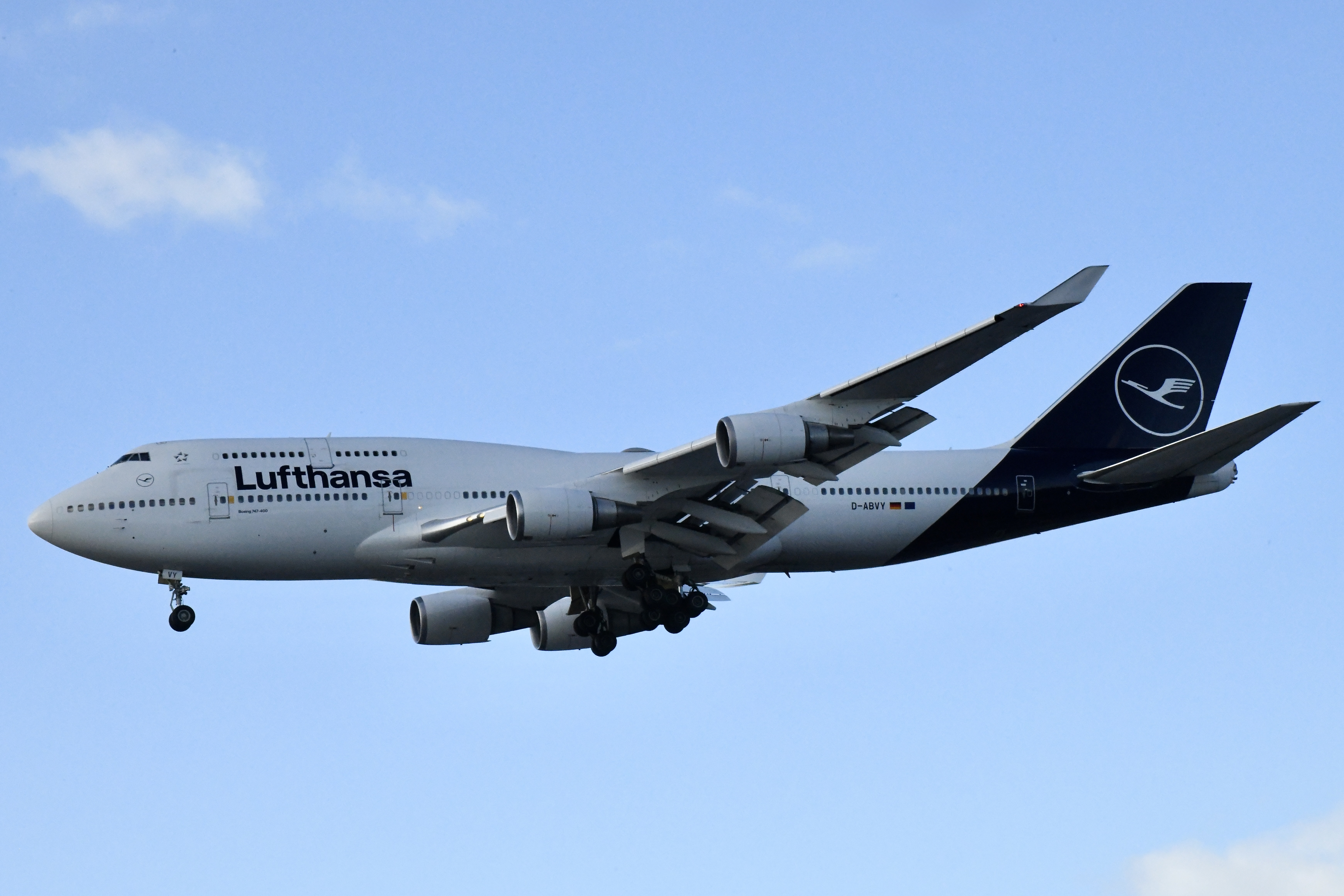 DSC-3676.jpg