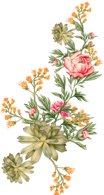 b8ebdebb06887c6be8ad6d475e00d991.png