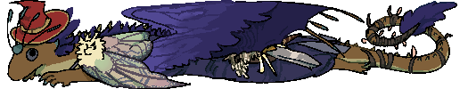 IMG-0040.png