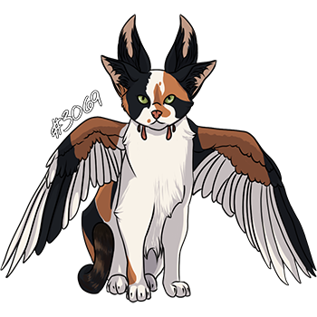 Pet Image