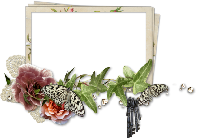 cluster-frame-218