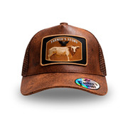 GOKNFASTCOWDOCA 2