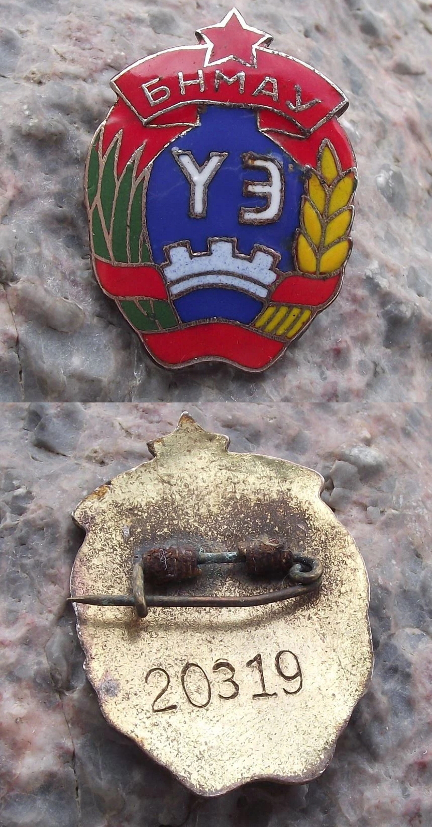 https://i.ibb.co/qF9PByJv/20319.jpg