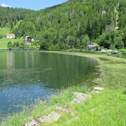 IMG 3674
