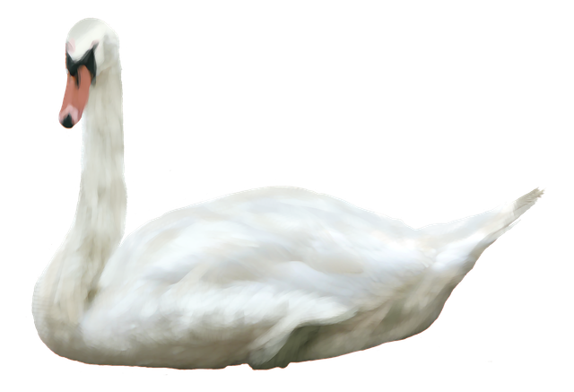 0-5be60-e8f5363-XXXL