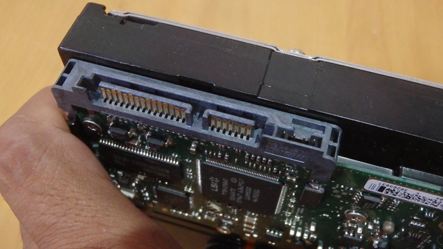 OLYMPUS-DIGITAL-CAMERA