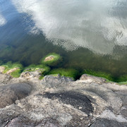 IMG-2949
