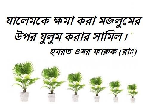 আশারায়ে মুবাশশারা