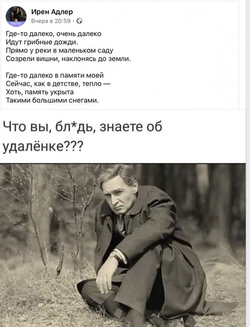 https://i.ibb.co/qFVyZzD/image.jpg
