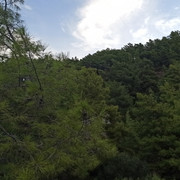 IMG 20260926 074310