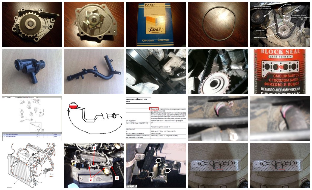 https://i.ibb.co/qFjm2Tqp/1348-collage.jpg