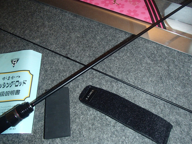 P8050010