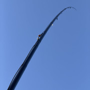 IMG-0415