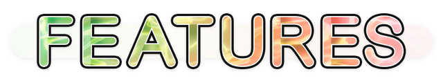 features.png
