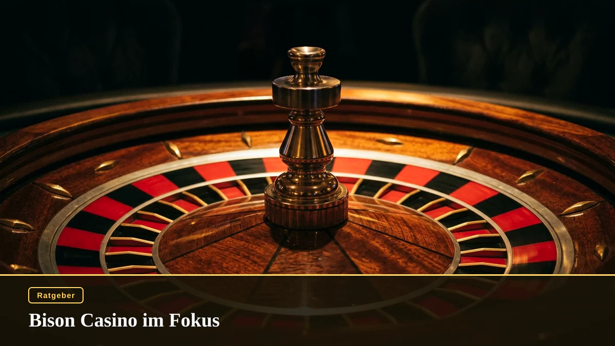 Bison Casino im Fokus