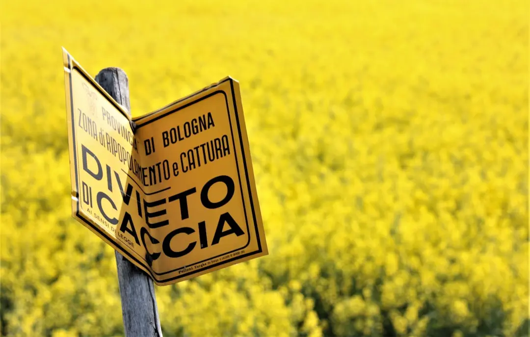 Aplicațiile ipotecare se declinează ca rate de creștere