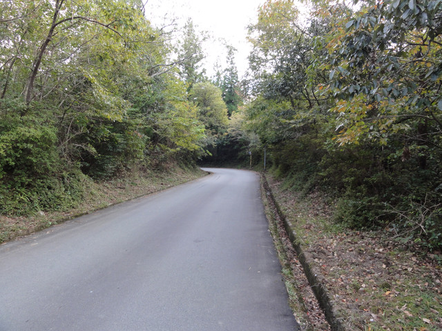 2011-10-28-032.jpg