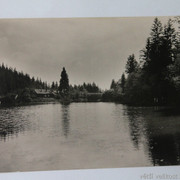 IMG-6449