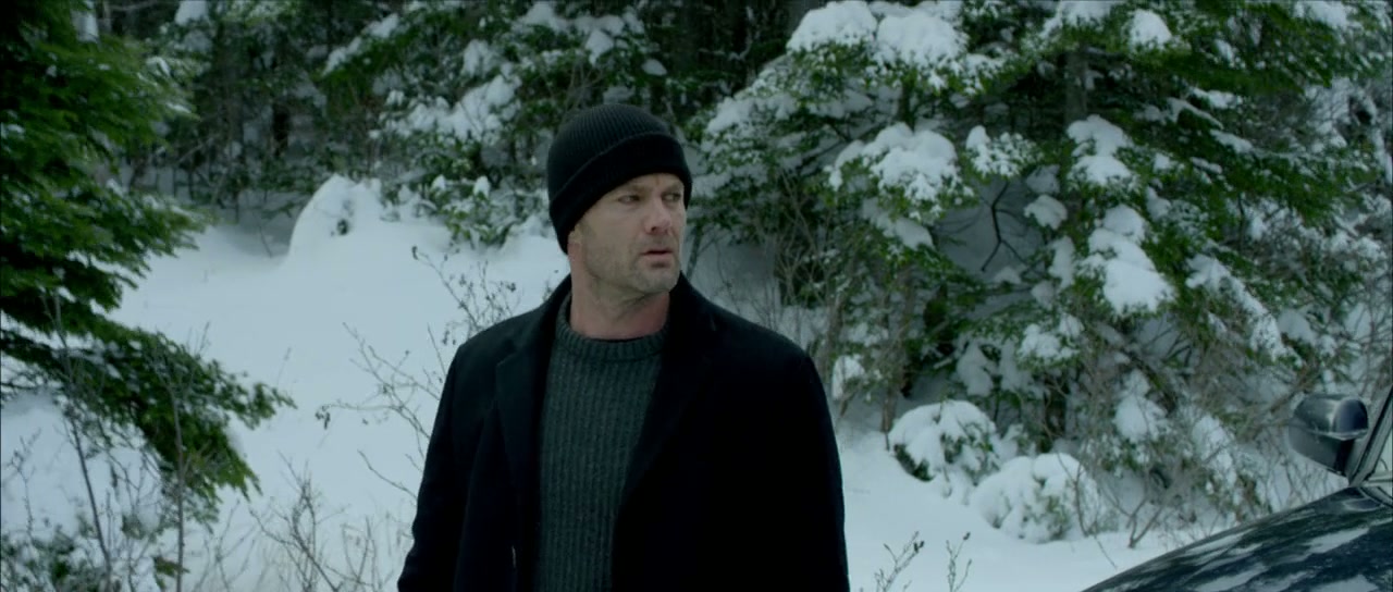 Braven Screenshot