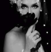 6.gif