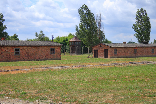 IMG-5888.jpg