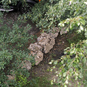 DSC5396-result