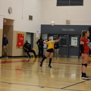 IMG-0154