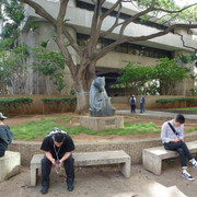 img-4227v