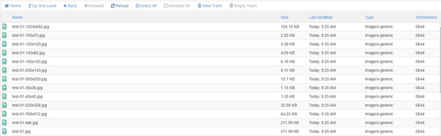 File-Manager-501properties-com
