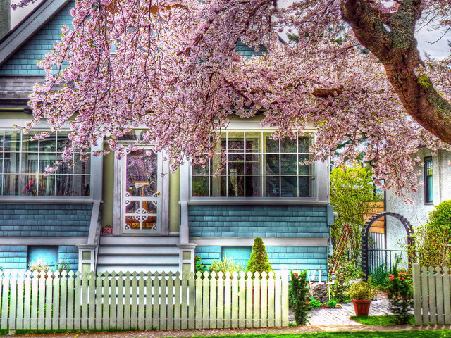 spring-031
