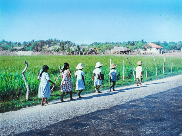 1958-school-copy.jpg
