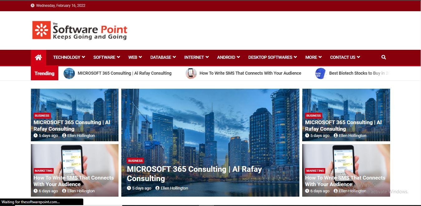 thesoftwarepoint