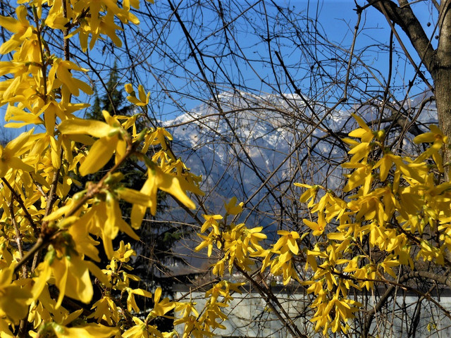 DSCN6327-2