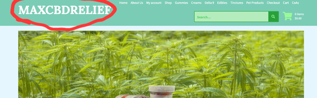 header-image-circle