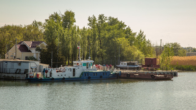 IMG 0671.jpg