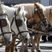 IMG-0769-2