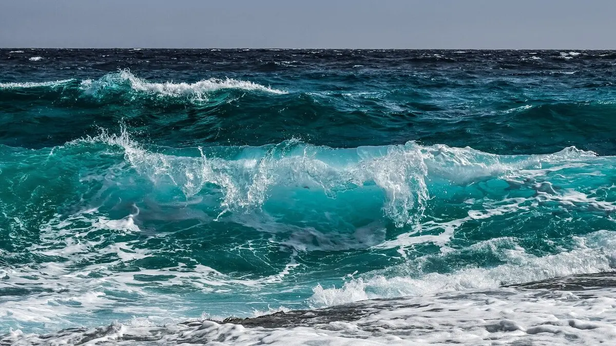 Ocean Microbes' Crucial Role in Carbon Recycling