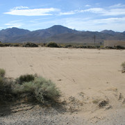 IMG 7942
