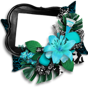 cluster-frame-293