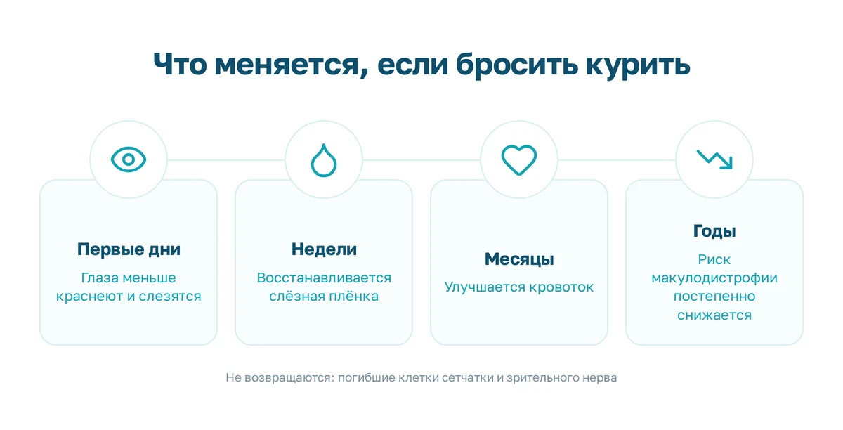 Курение и глаза: что табачный дым делает с сетчаткой, слезной пленкой и зрительным нервом и что меняется после отказа Схема: что происходит с глазами после отказа от курения через дни, недели, месяцы и годы