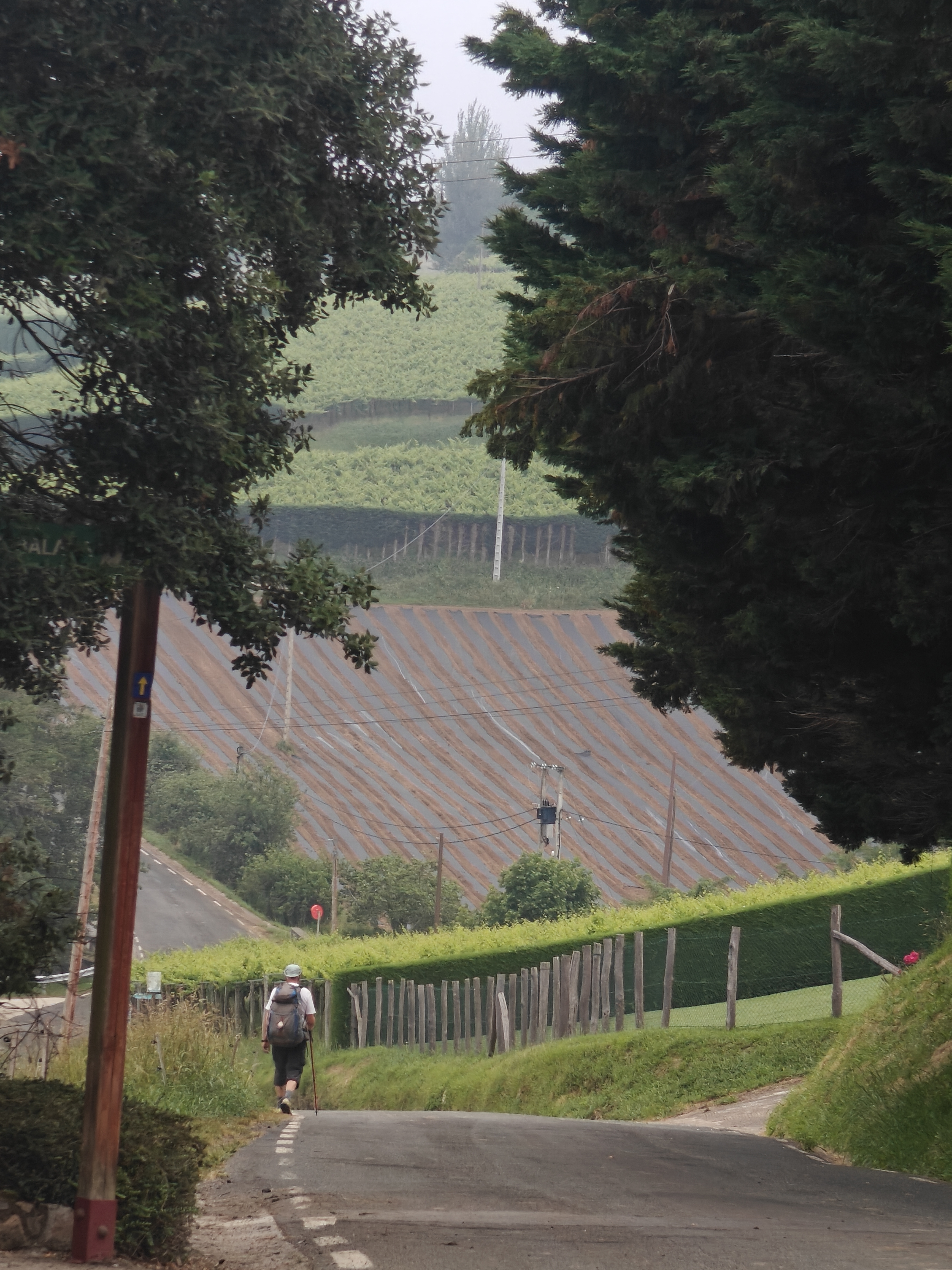 Dag 3 - Zarautz π₯ Mutriku 9