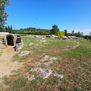doberdob(37)