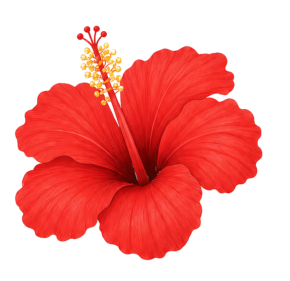 flower.png