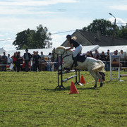 DSC05462