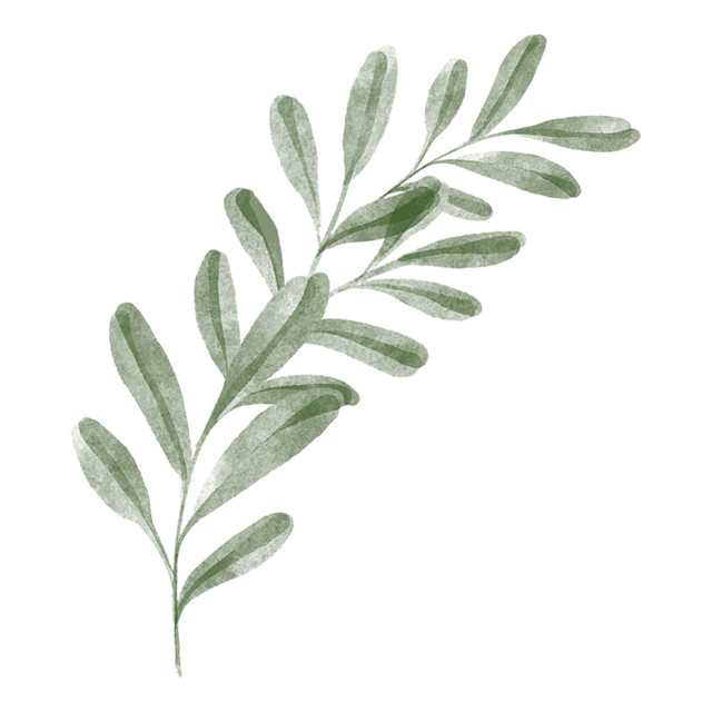 shutterstock 1916256326.jpg