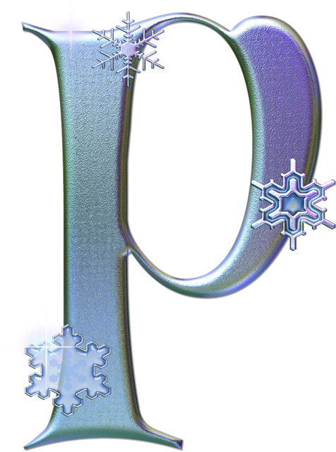 P 541691